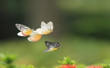 Có một tâm tĩnh lặng và yêu thương cho phép chúng ta sử dụng trí thông minh tự nhiên